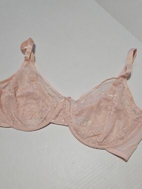 Sheer Lace Underwire Bra in Blush Pink Size 44DD